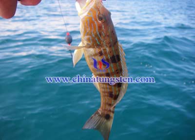 tungsten-alloy-jigs