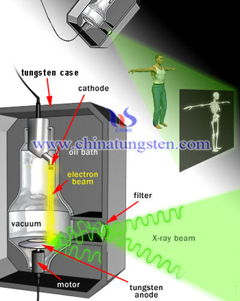Tungsten for X-ray Machine