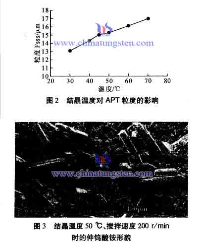 结晶温度对仲钨酸铵粒度和形貌的影响