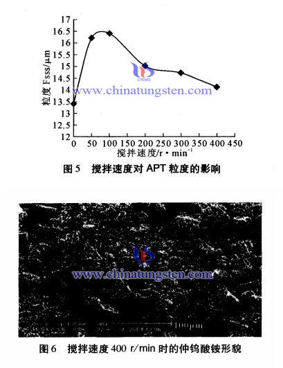 搅拌强度对仲钨酸铵粒度的影响