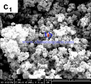 WO3的SEM照片-通过氯化钨生产，加入尿素反应