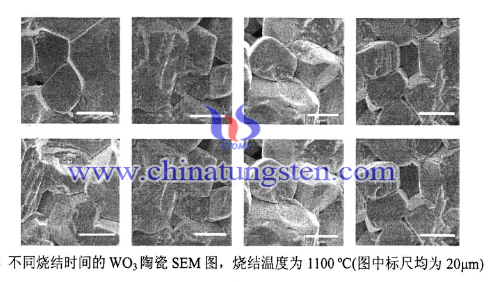 不同烧结时间三氧化钨陶瓷 不同烧结时间三氧化钨陶瓷