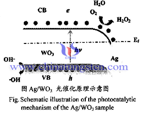 Ag/WO3光催化示意图