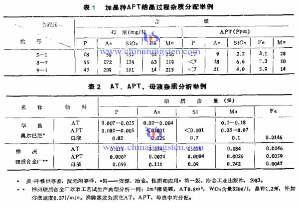 表 表