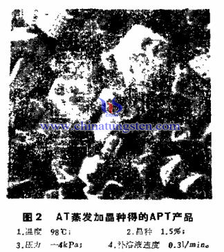 AT蒸发加晶种所得的APT产品 AT蒸发加晶种所得的APT产品