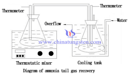 Ammonia tail gas recovery