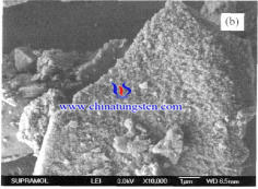 deactivated SiO2-AMT catalyst SEM