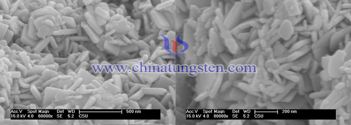 ICP-AES光谱仪测定氧化钨SEM
