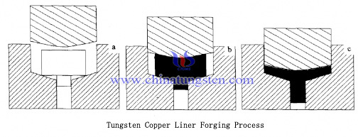 tungsten carbide EFP liner processing