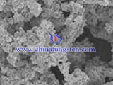 flake nanometer tungsten carbide SEM figure