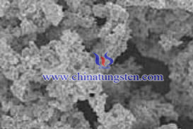 flake nanometer tungsten carbide SEM figure