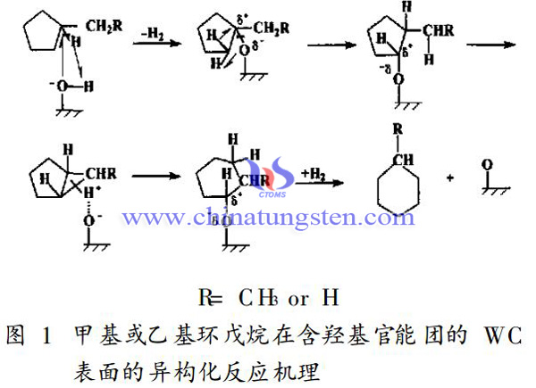 WC粉咋烃的异构化催化作用机理图片