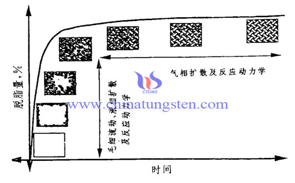 脱脂过程图片