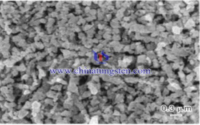 ultrafine tungsten powder SEM image