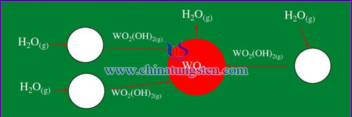 reduction of tungsten oxide