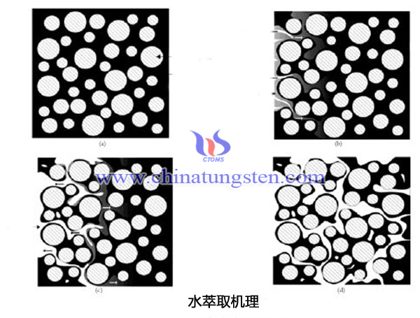 水萃取机理图片