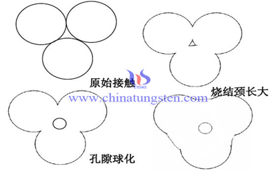 硬质合金烧结粉末变化图片