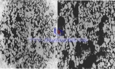  WC-Co硬质合金η相形态图片
