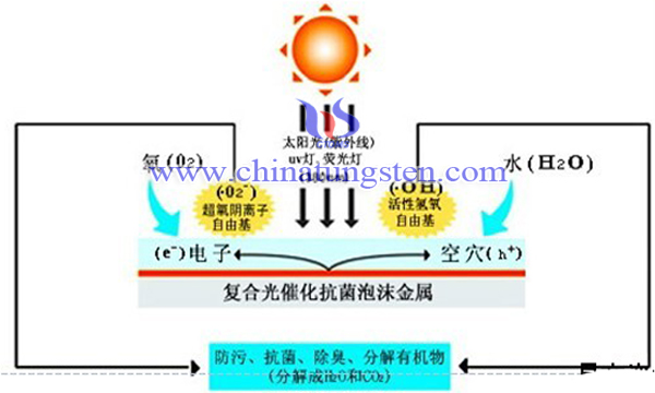 钨酸铋光催化图片