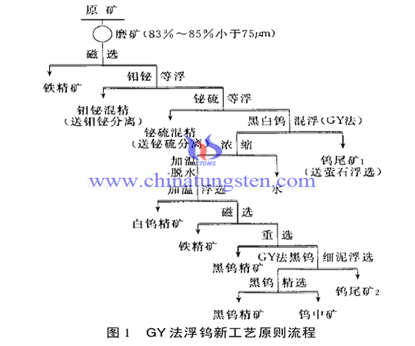 GY螯合捕收剂图片