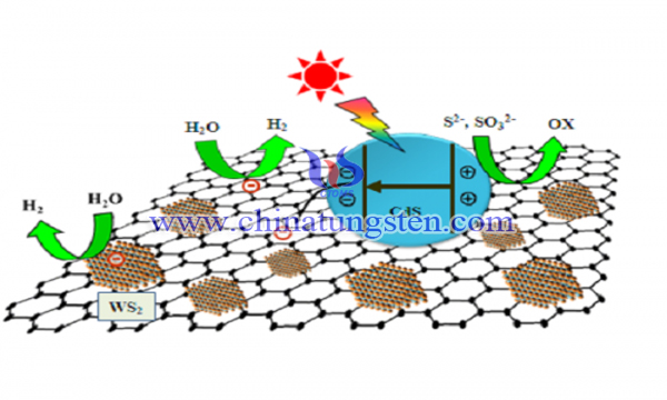 纳米二硫化钨/石墨烯复合催化剂图片