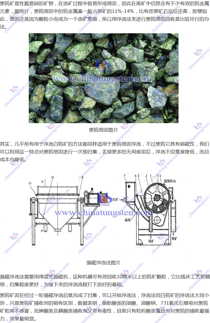 黑钨细泥回收–强磁浮选法图片