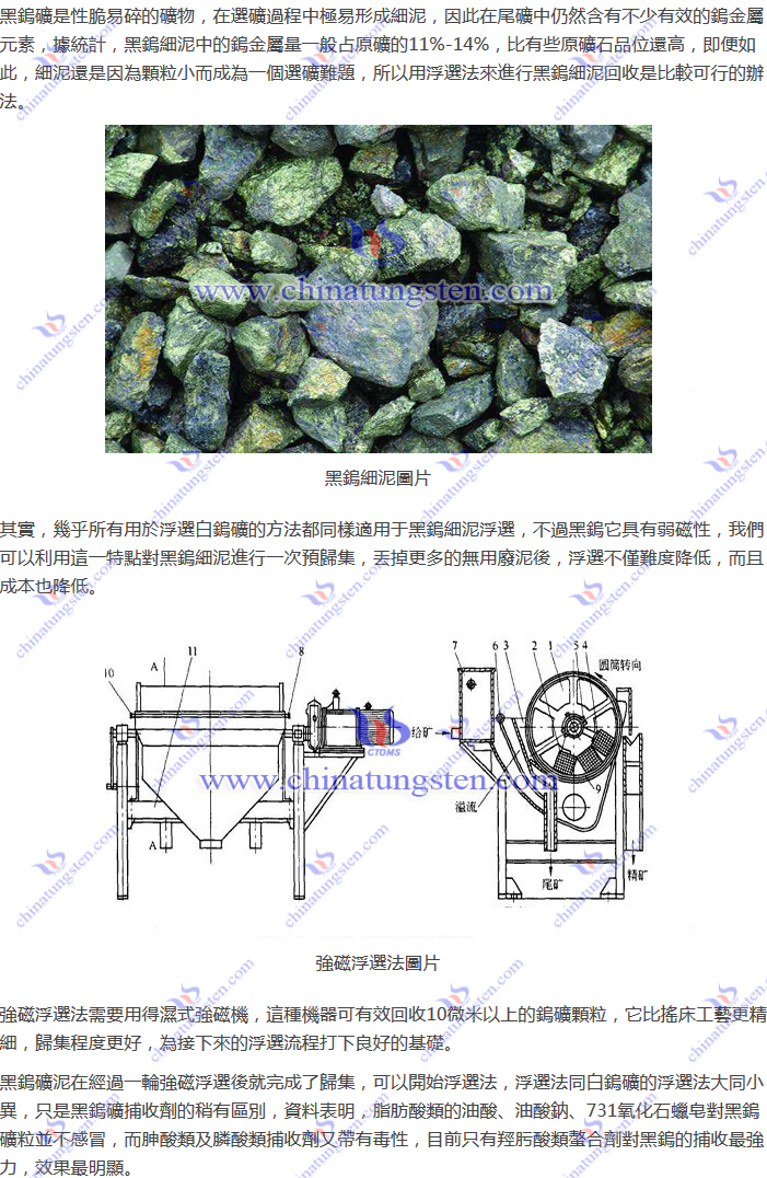 黑鎢細泥回收–強磁浮選法圖片