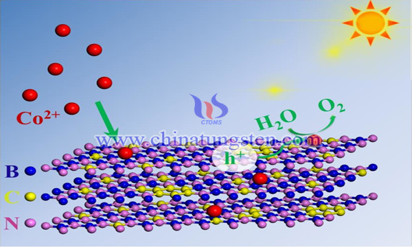 tungsten oxide doped titanium dioxide photocatalyst image