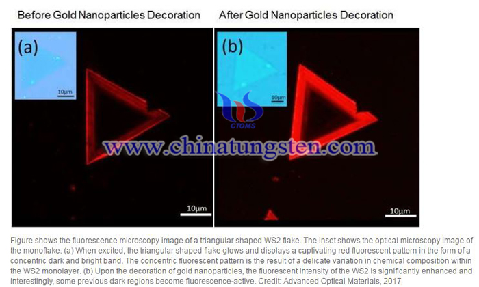 Gold Nanoparticles Tungsten Disulfide Photo