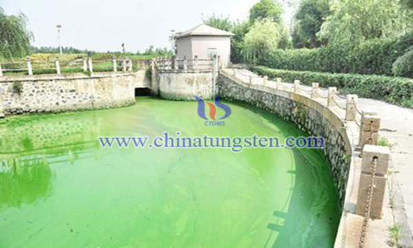algae pollution treatment by bismuth tungstate porous material image