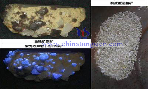 extremely low grade tungsten ore recovery process image