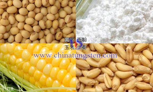 秋季用饵图片 秋季用饵图片