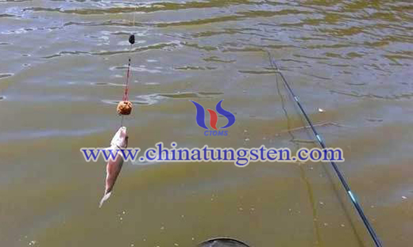 手竿起魚圖片 手竿起魚圖片