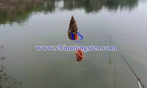 运用散炮垂钓图片