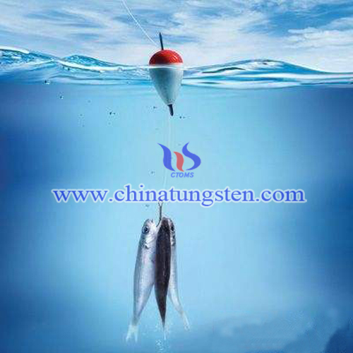 上鱼漂相图片 上鱼漂相图片