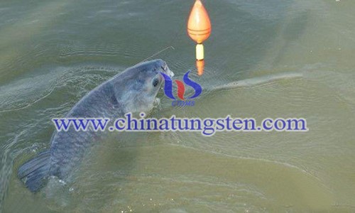 钓青鱼图片 钓青鱼图片