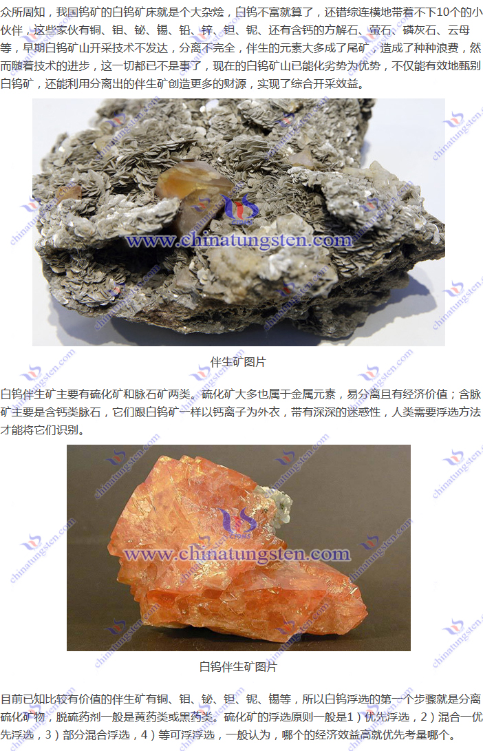 白钨伴生矿图片