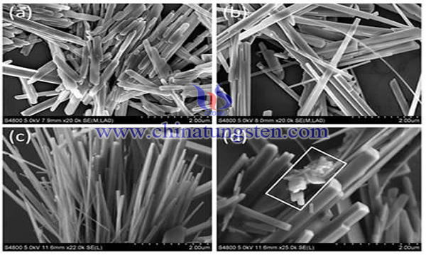 tungsten oxide nanorod image