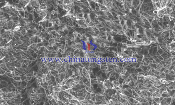nano tungsten oxide preparation by carbon nanotube template image