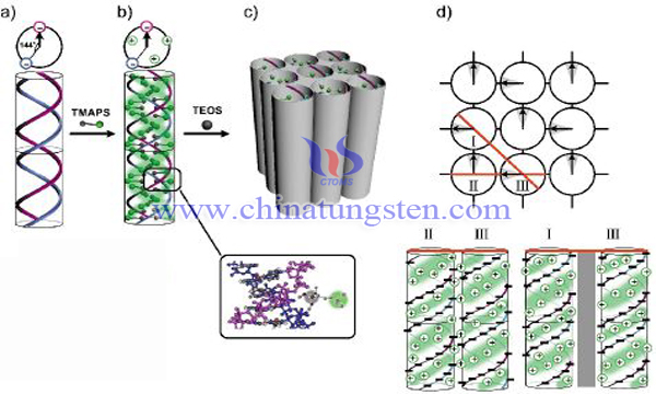 mesoporous tungsten carbide image