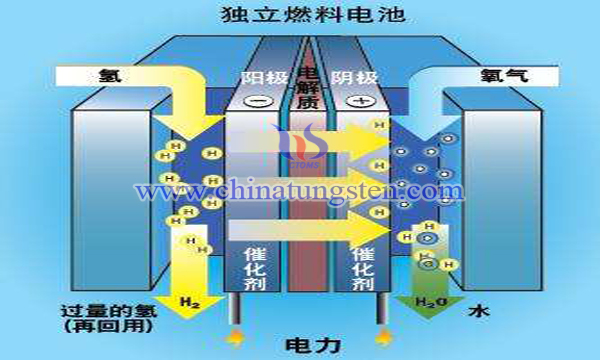 蜂窝状石墨烯/碳化钨/铂金复合电催化剂图片