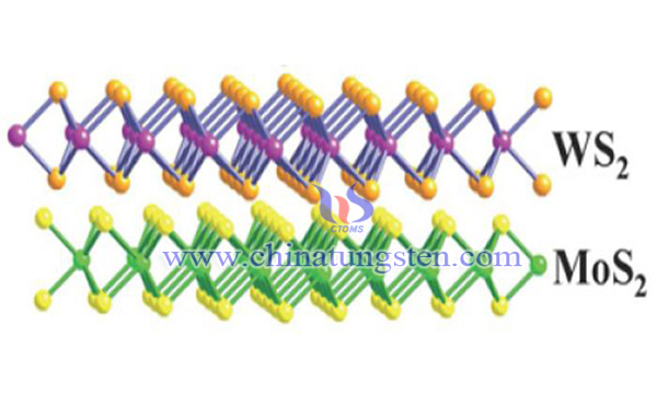 monolayer layer tungsten disulfide image