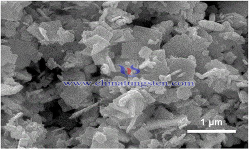 dendritic crystal form bismuth tungstate preparation scheme image