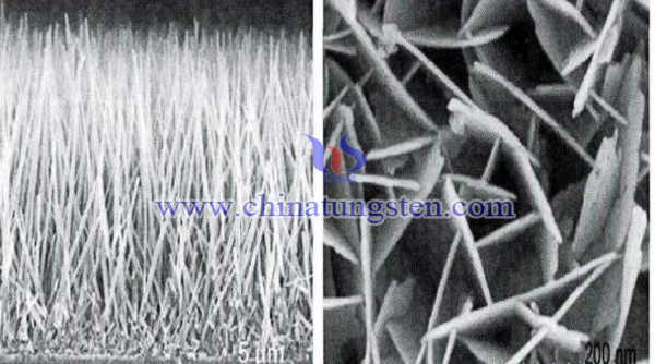 one-dimensional structure tungsten nitride image