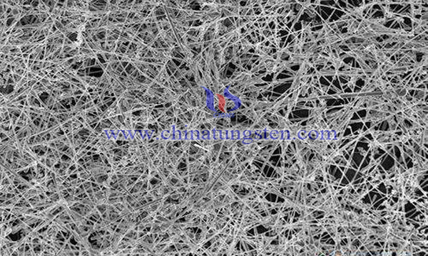 tungsten sulfide nanosheet/titanium dioxide nanoribbon composite image