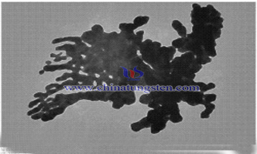 dendritic strontium tungstate crystal preparation image