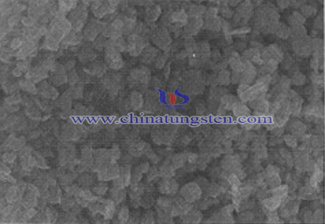 two-dimensional tungsten oxide nanosheets image