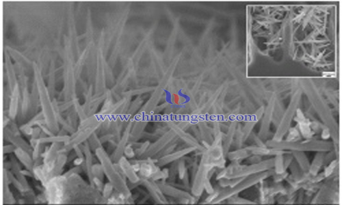 porous silicon/multidimensional tungsten oxide composites image