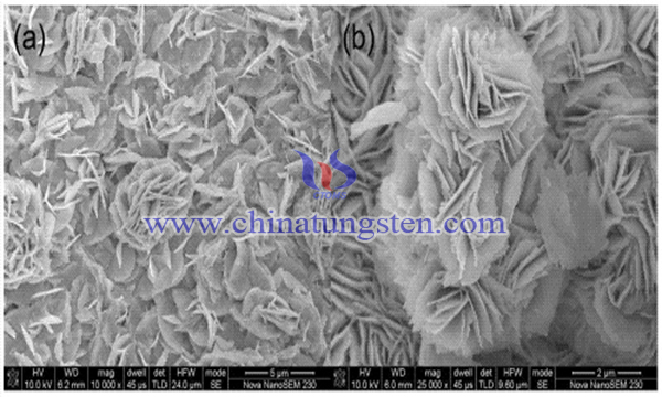 bismuth tungstate films preparation image