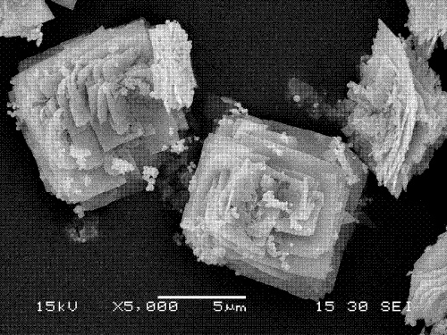 nano-flake bismuth tungstate image